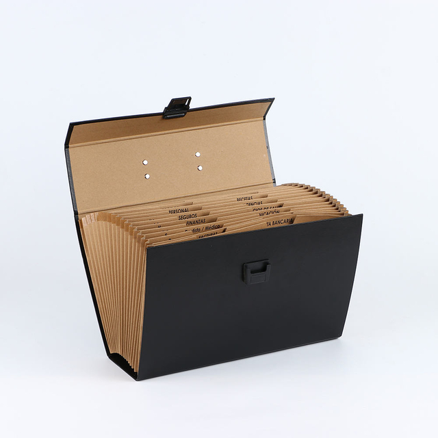 OEM Custom Logo 19-poche A4 Expansion de la boîte de fichiers accordéon Handle Paper Document Document Organizer Company Office School Utiliser le dossier de dossier
