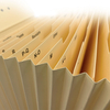 Logo personnalisé 19 poches A4 Taille de dossier d'accordéon de dossier de fichiers en expansion Organisateur de document papier avec poignée pour l'usage de l'Office