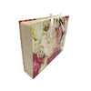 A4 Shape 13 poches en expansion de dossier d'accordéon Dossier de fichiers personnalisable Colortivable Fashion Paper Organizer School Office