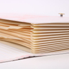Organisateur de document en carton de taille A4 personnalisé Dossier de fichiers Expansion du dossier de dossier de dossier de dossier en gros de la papeterie