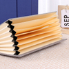 Le dossier d'extension de l'accordéon de la papeterie d'Office est composé de matériel papier de carnet pour les dossiers / sac de fichiers à usage quotidien