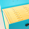 OEM Custom Logo 19-poche A4 Expansion de fichiers accordéon Boîte de fichiers avec des documents de papier Handle Organisateur Company Office School Utilisation