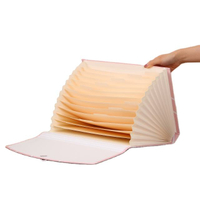 Organisateur de document en carton de logo personnalisé en gros Organisateur de fichiers en expansion de la papeterie de papeterie efficace de l'usine
